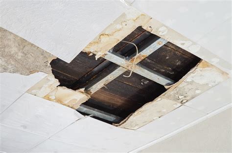 water damage basement ceiling|What to Do When Your Ceiling Has Water Damage